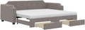 pokgdf, Sofa, 2 W, 223 x 90 x 66,5 cm, Szary/Biały, lite drewno, funkcja spania, miejsce do przechowywania, 2 w 1